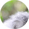 Avatar for EssexPete