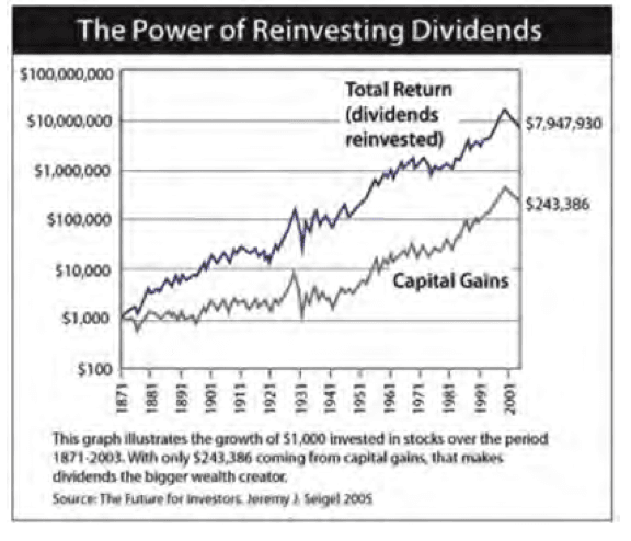 Dividends / Seigel