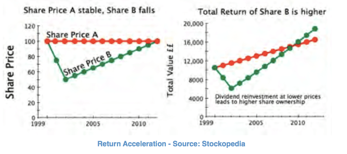Dividends / Return