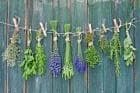 Profile picture of VegPatch